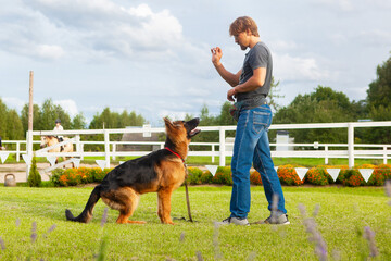 A owner of a young German shepherd dog, trains his dog.