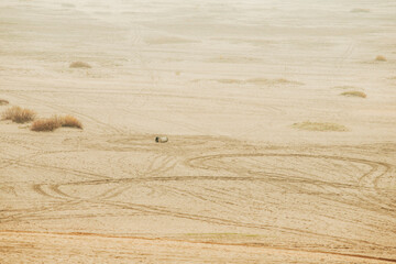 Bledow desert (pustynia bledowska) biggest sand desert in Poland © marcinm111