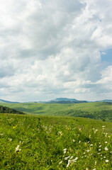 Altay view point of mountains, lake, green meadow, Russian nature
