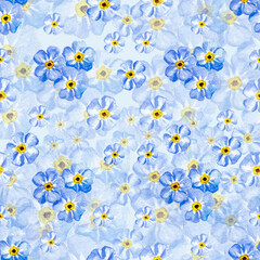 Waterciolor seamless pattern of blue forget-me-not