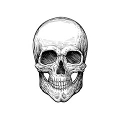 Skull hipster style, creative fashion design. Hand drawn vector illustration
