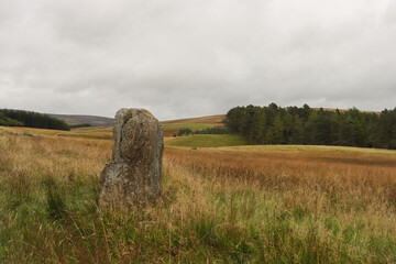 Rock in moorland between Enochdu and Spittal of Glenshee.
