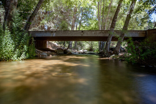 old bridge in the forest