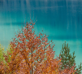 autumn trees reflected in  crystal blue water