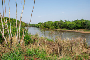 photograph of the River Dourado, in the city of Dourados, Mato Grosso do Sul, Brazil
