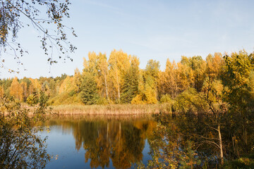 Autumn landscape in Moscow region, Russia. Lake. Sunny day in October.