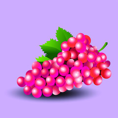 illustration vector fruit shape red grapes leaves good health useful for posters icons symbols 
other media design on a purple background