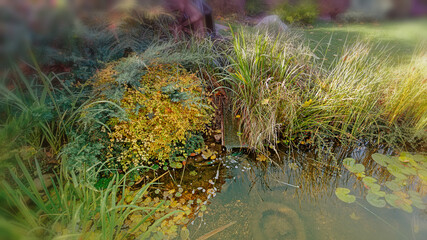 Blurred autumn background