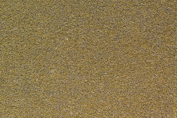 Brown synthetic carpet texture bacground