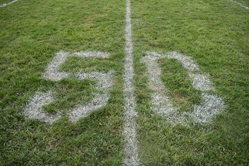 Fifty Yard Line on a Football Field