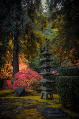 Fototapeta na wymiar Tree with red leaves in a Japanese garden on the background of autumn landscape. Rest, zen, meditation, harmony