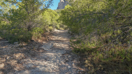 Camino o pista de montaña mediterranea