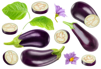 Isolated aubergines collection. Pieces of eggplants and whole fruits, leaves and flowers isolated...