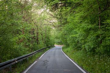 Naklejka premium Typical spring landscape with a paved road in the middle of a deep forest and trees with green colors during the spring season, with their foliage, in a European rural environment...
