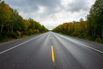 A two lane road of dark wet black asphalt with a single yellow line down the middle. There are colorful autumn trees on both sides. There's a blue sky with white fluffy clouds in the background. 
