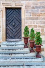Fototapeta na wymiar Potted decorative coniferous with garlands . Door and stone stairs of residential house. Exterior Christmas ornate
