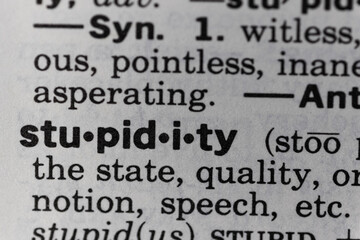 definition of stupidity macro shot of dictionary texture paper - obrazy, fototapety, plakaty