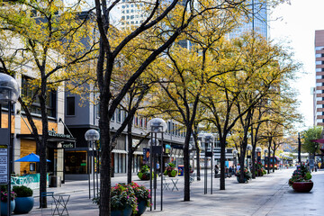16th street mall downtown Denver city business - Powered by Adobe