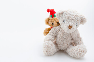 Brown little teddy bear hug big teddy is behind isolated on white background with copy space. love family, valentines day.