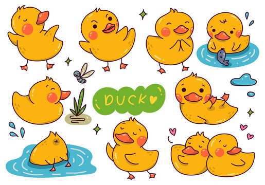 Set of Cartoon duck in doodle style vector element