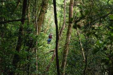 Niño colgando de un cable de canopy en monte verde costa rica