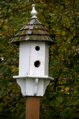 White and brown wooden birdhouse with shingled roof on wooden post