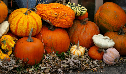 Outdoor arrangement of pumpkins and various gourds
