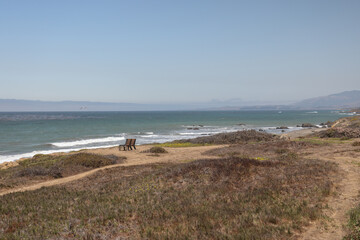 view of the beach