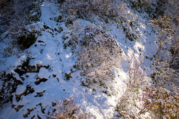 富山県上市町にある雪が積もった晩秋のクズバ山の登山道から剣岳、大日岳、猫又山などを見る風景 A view of Mt. Kuzuba with snow on the trail in late autumn in Kamiichi Town, Toyama Prefecture, looking at Mt.Tsurugi, Mount Dainichi.