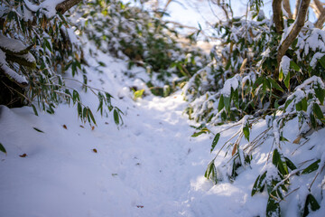 富山県上市町にある雪が積もった晩秋のクズバ山の登山道から剣岳、大日岳、猫又山などを見る風景 A view of Mt. Kuzuba with snow on the trail in late autumn in Kamiichi Town, Toyama Prefecture, looking at Mt.Tsurugi, Mount Dainichi.