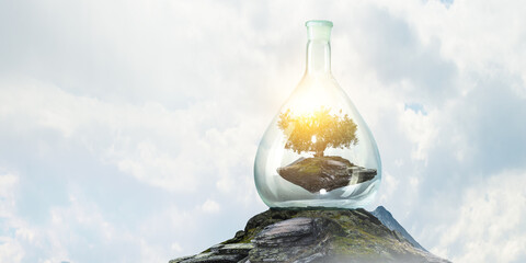 Tree growing inside clear glass bottle . Mixed media