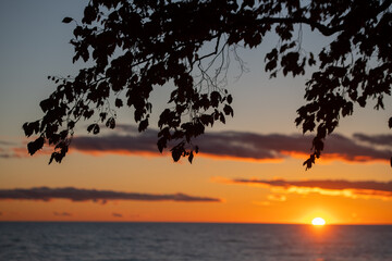 silhouette of tree and tree branches in foreground of sunset with golden light and orange glow reflecting off clouds in background sun setting on the horizon of Lake Ontario Canada horizontal format 