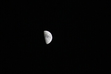 moon in the night