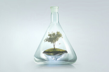 Tree growing inside clear glass bottle