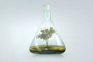 Tree growing inside clear glass bottle