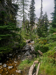 Glacier Stream in Summer