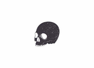 skull illustration, vector, icon on white background