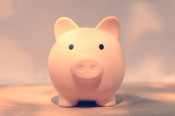 Piggy bank saving money for the future.