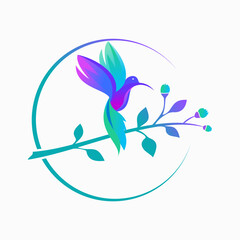 Fototapeta premium hummingbird colibri bird logo