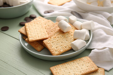 Plate with crackers, marshmallows and chocolate on color wooden background, closeup