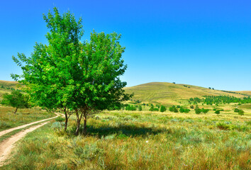 Golden hills of the Minusinsk basin