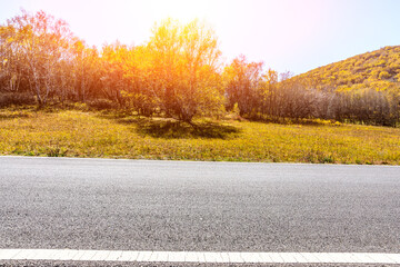 Naklejka na ściany i meble Asphalt road and trees nature landscape at sunset.Road and mountain scenery in autumn.