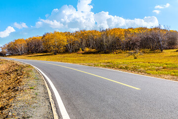Asphalt road and trees with mountain nature landscape at autumn.