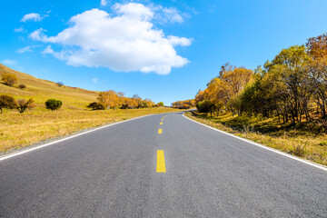Fototapeta premium Asphalt road and trees with mountain nature landscape at autumn.