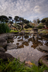 Coins in a small japanese pond with reflections