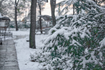 The first snow in Khabarovsk, Russia. Embankment in the snow.