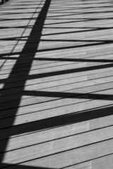 Obraz premium black and white