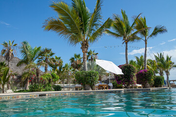 Swimming pool with palm trees under a blue sky, summer vacation concept, la paz, todos santos baja california sur, mexico