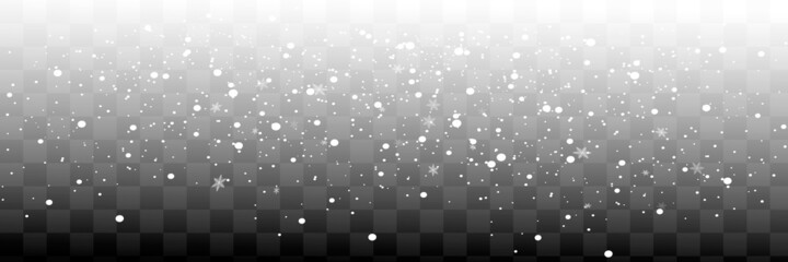 Vector snowfall isolated. Winter background. Snow overlay illustration. Snowflakes and ice.