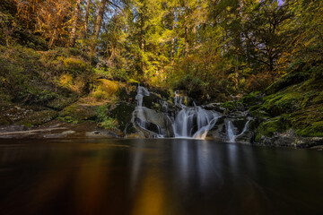 Fototapeta na wymiar Sweet Creek Falls